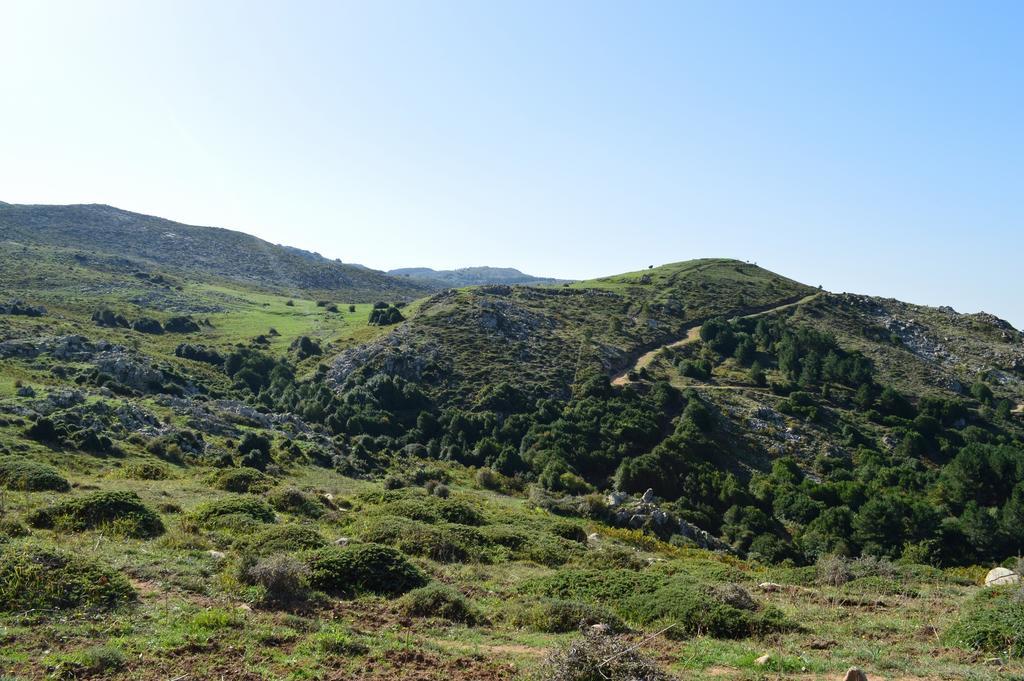 לינה וארוחת בוקר פטרליה סוטאנה Il Castello מראה חיצוני תמונה